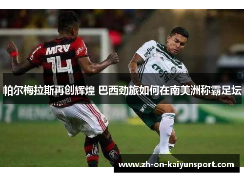 帕尔梅拉斯再创辉煌 巴西劲旅如何在南美洲称霸足坛