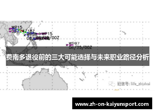 费南多退役前的三大可能选择与未来职业路径分析