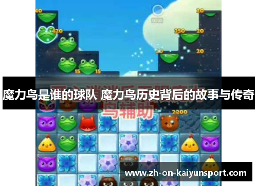 魔力鸟是谁的球队 魔力鸟历史背后的故事与传奇